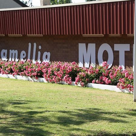 Camellia Motel Narrandera Eksteriør billede