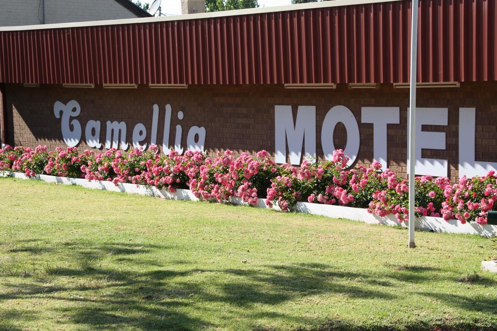 Camellia Motel Narrandera Eksteriør billede