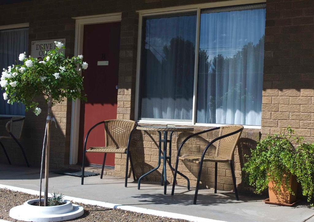 Camellia Motel Narrandera Eksteriør billede